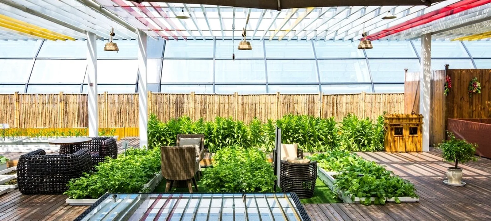 Editorial terrace garden design inspiration for Chennai landscapes