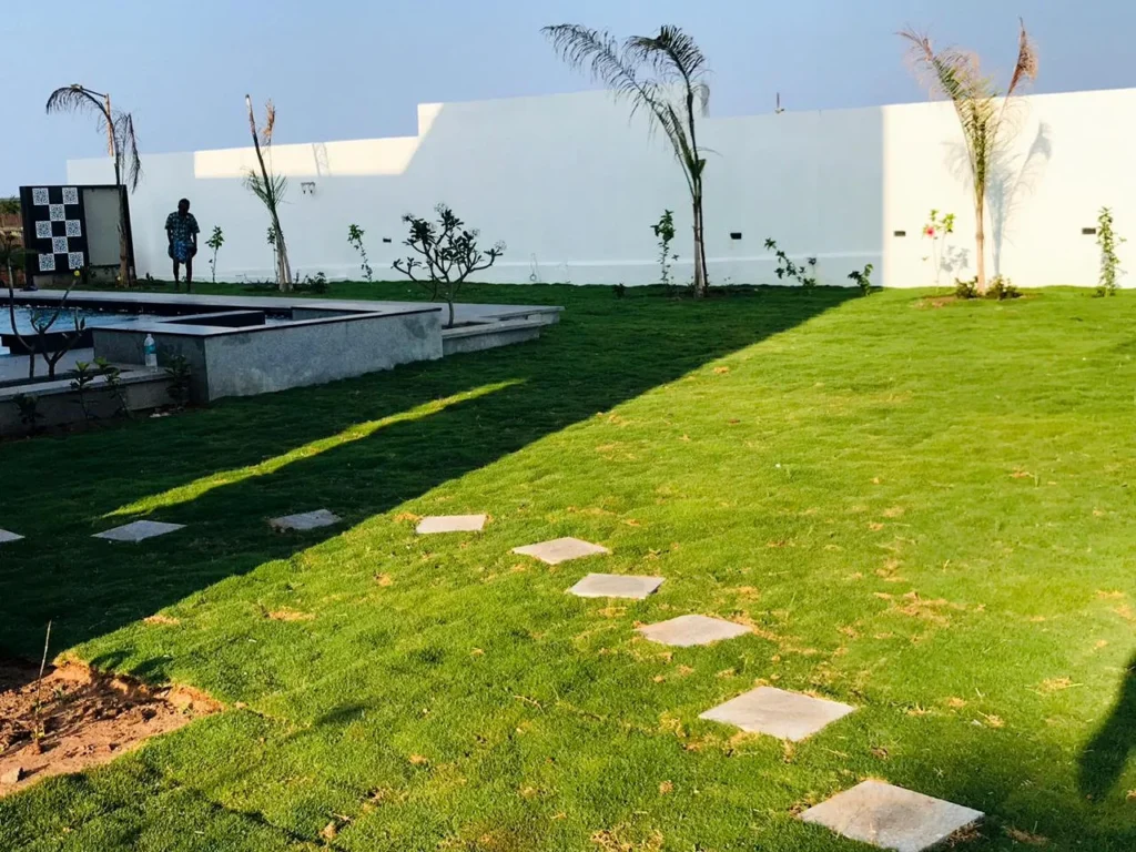 Artificial Grass in Chennai: Costs, Pros and Cons for Home Lawns