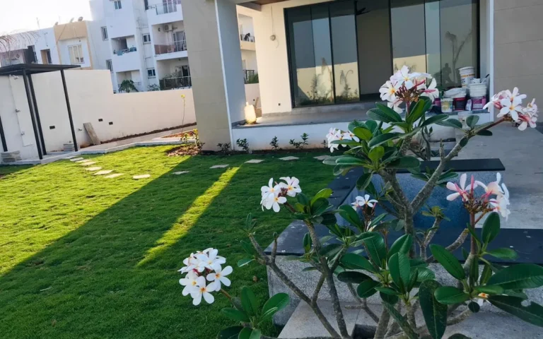 Professional Landscape Maintenance in Chennai