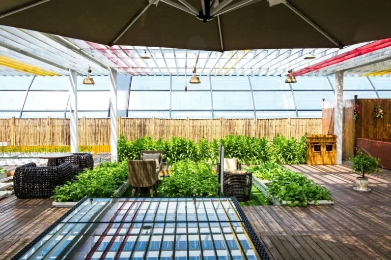 Best Plants for Terrace Gardens in Chennai’s Climate