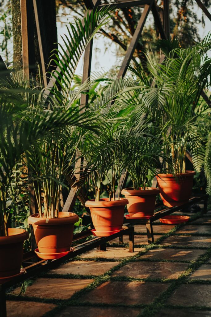 balcony garden chennai