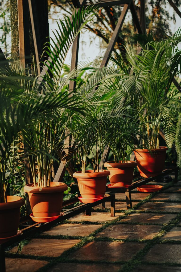 balcony garden chennai