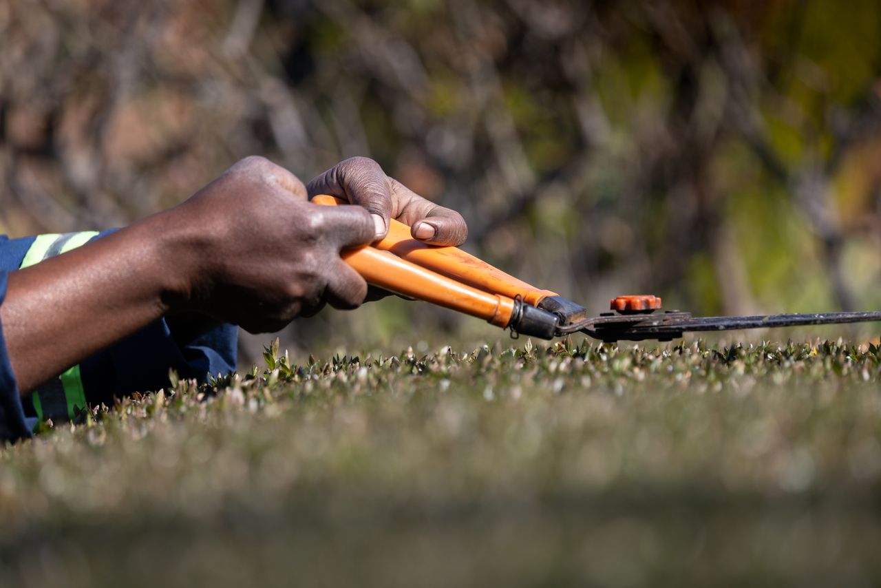 drip irrigation chennai