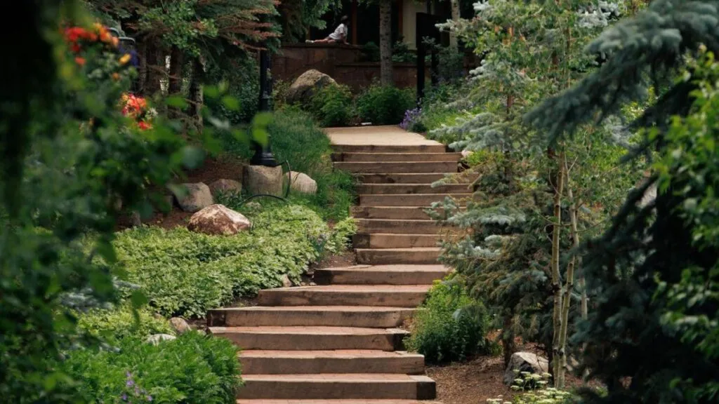 Pre-Monsoon Garden Checklist for Chennai Homes